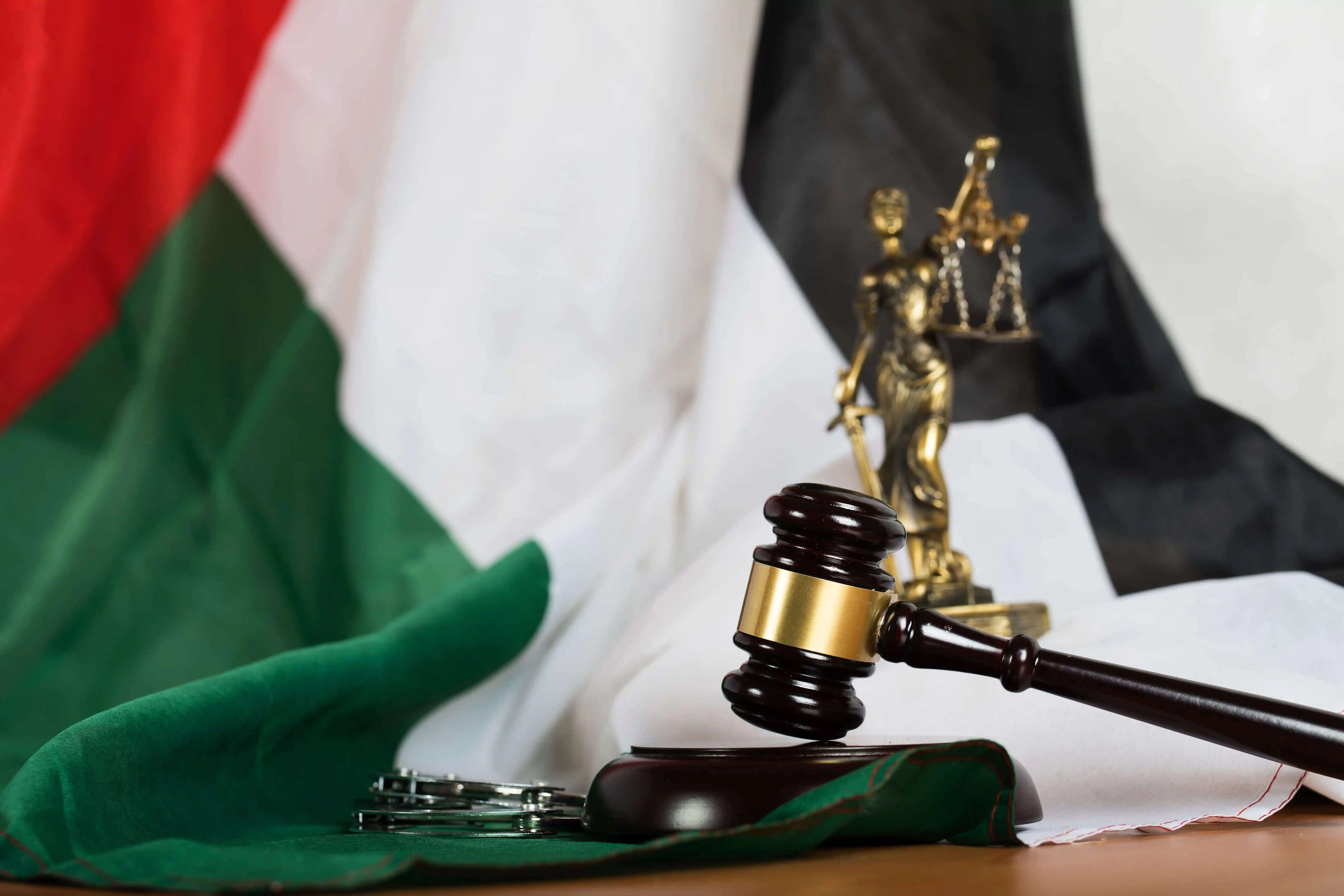 Ajman’s New Real Estate Law 2024: Enhanced Investor Protection & Market Transparency | UAE Property News