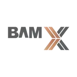 Bam Eskan