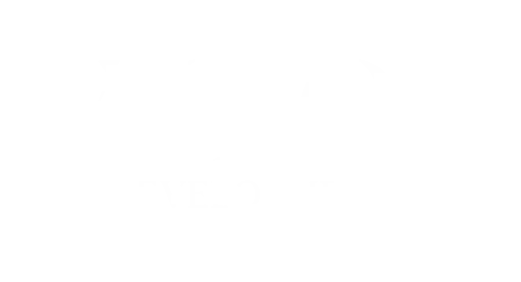 Vision Development