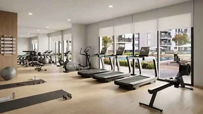 ellison-gym