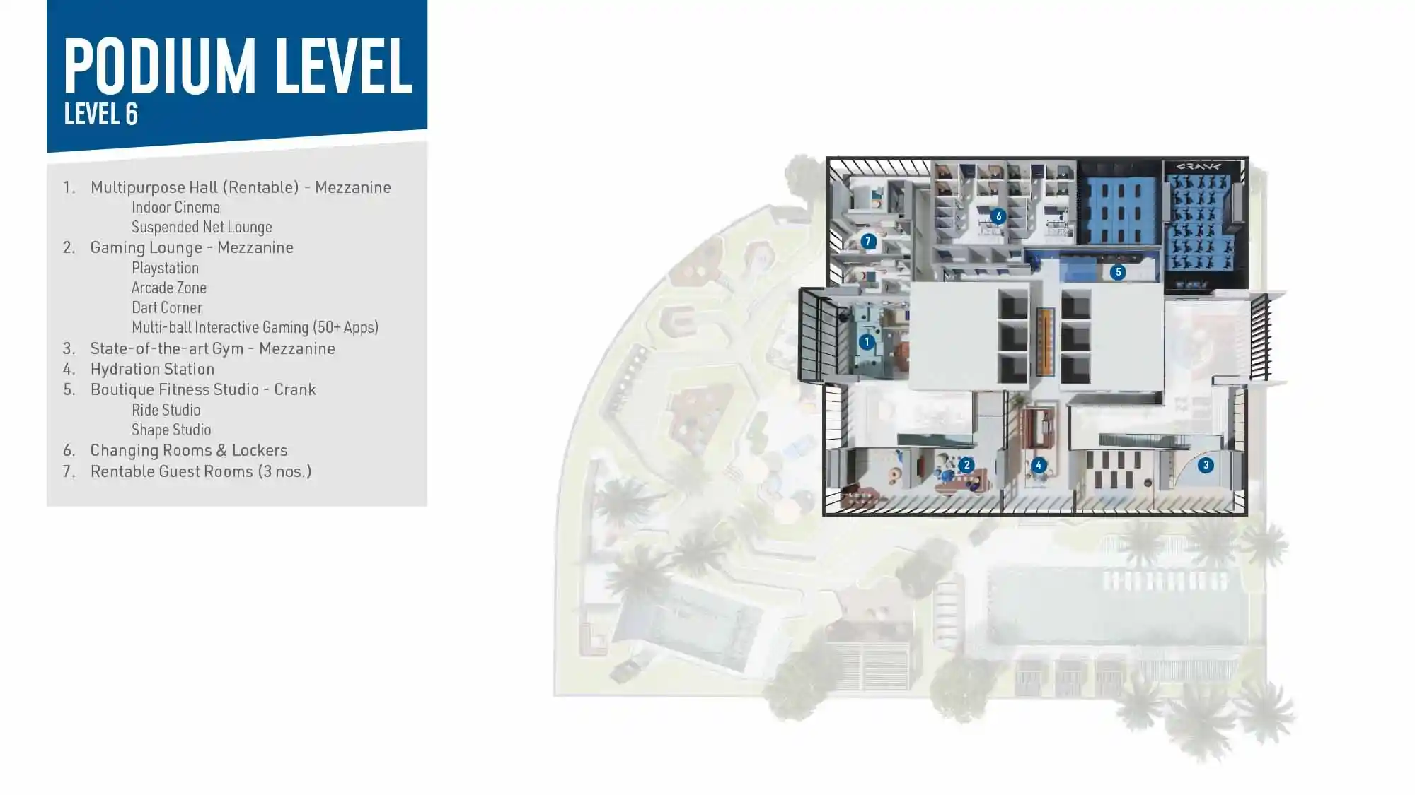 Level 6