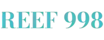Reef 998 Apartments at DLRC