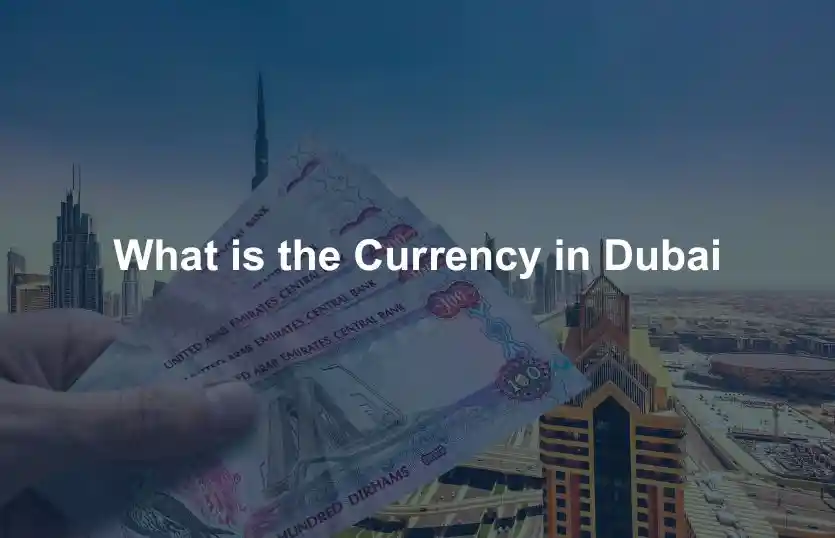 What is the Currency in Dubai