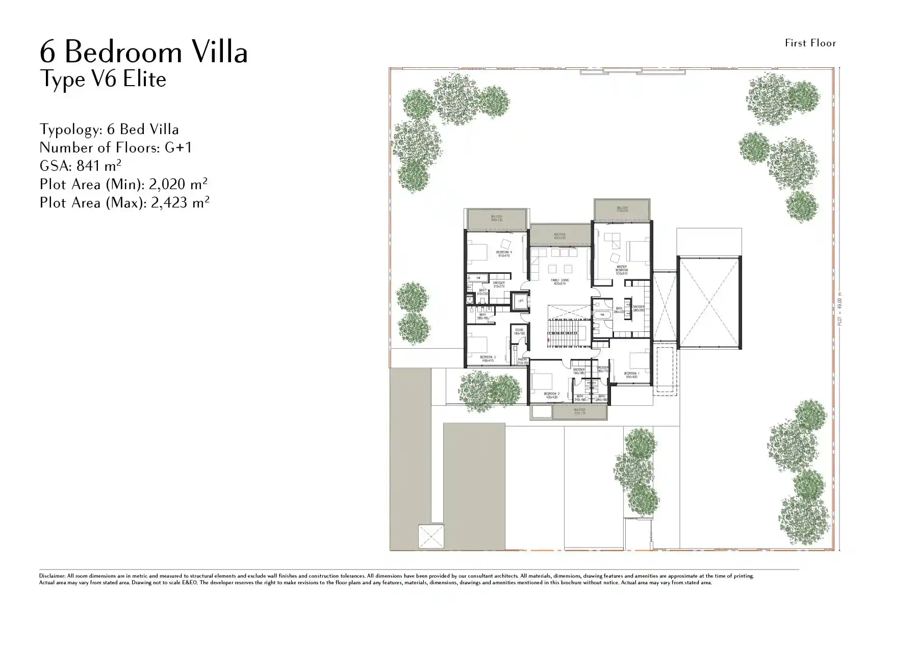 Type V6 Elite (First Floor)