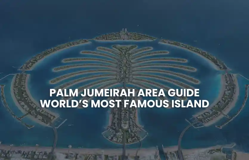 Palm Jumeirah Area Guide – The World’s Most Famous Island