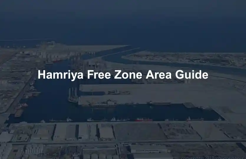 Hamriya Free Zone Area Guide