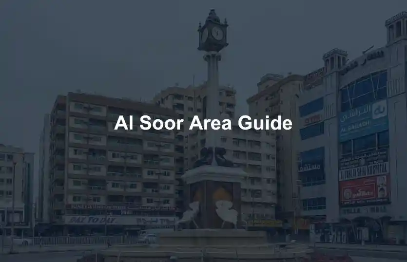 Al Soor Area Guide
