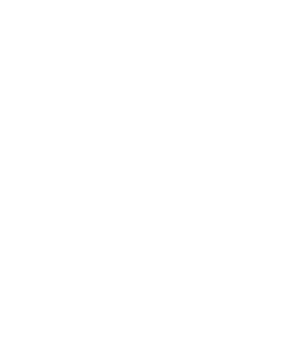 Ermax Development
