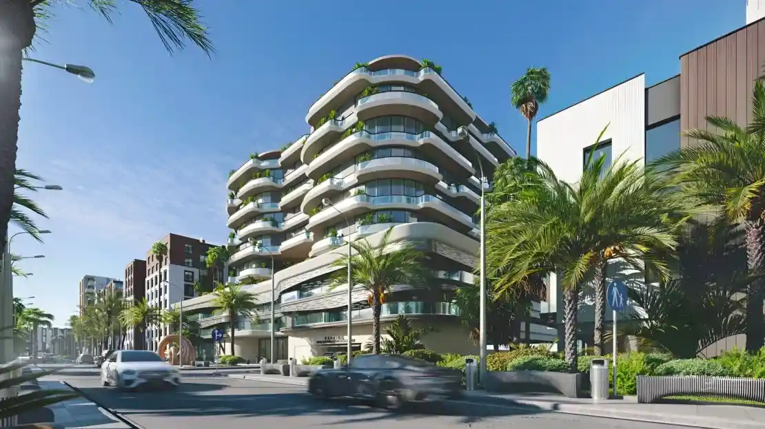 Sea Coral Street View