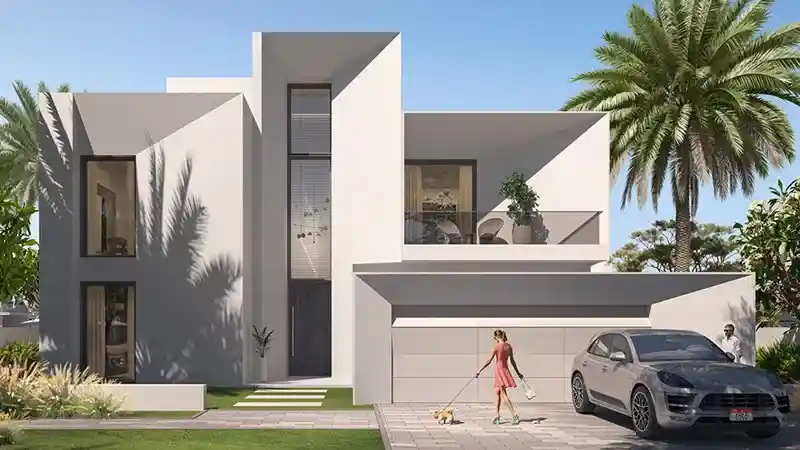 Palmiera 3 Great Outdoor