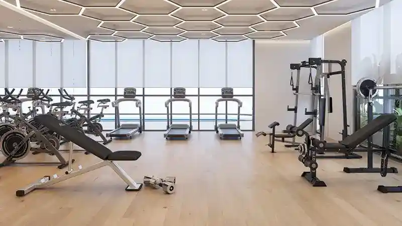 Whitecliffs Gymnasium