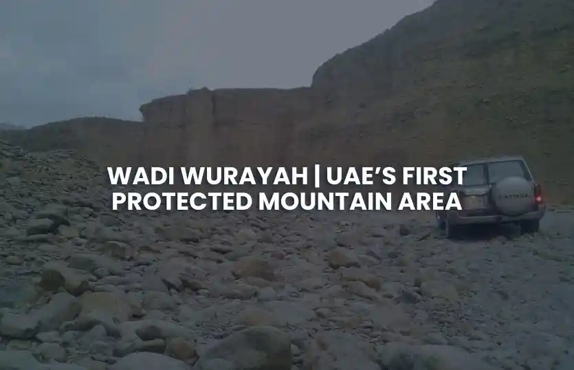 Wadi Wurayah: UAE’s First Protected Mountain Area