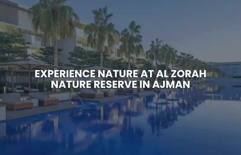 Experience Nature at Al Zorah Nature Reserve in Ajman